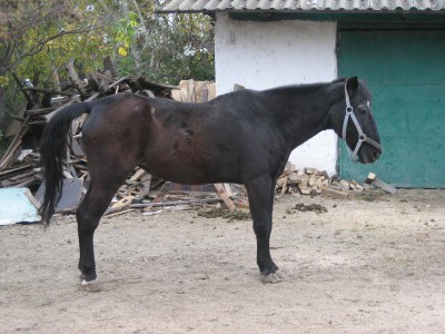 cal abandonat tia 01